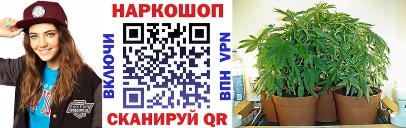 Где найти наркотики Сольцы КЕТАМИН  Канабис  СК  Мефедрон  ГАШ  Амфетамин 