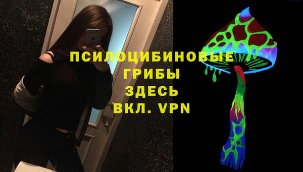 a pvp Михайловск