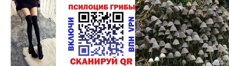 Галлюциногенные грибы ЛСД  где найти наркотики  Сольцы 