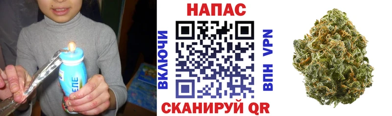 МАРИХУАНА гибрид  Сольцы 